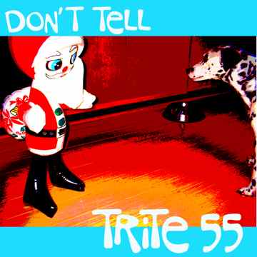 Trite 55 - Don't Tell album cover